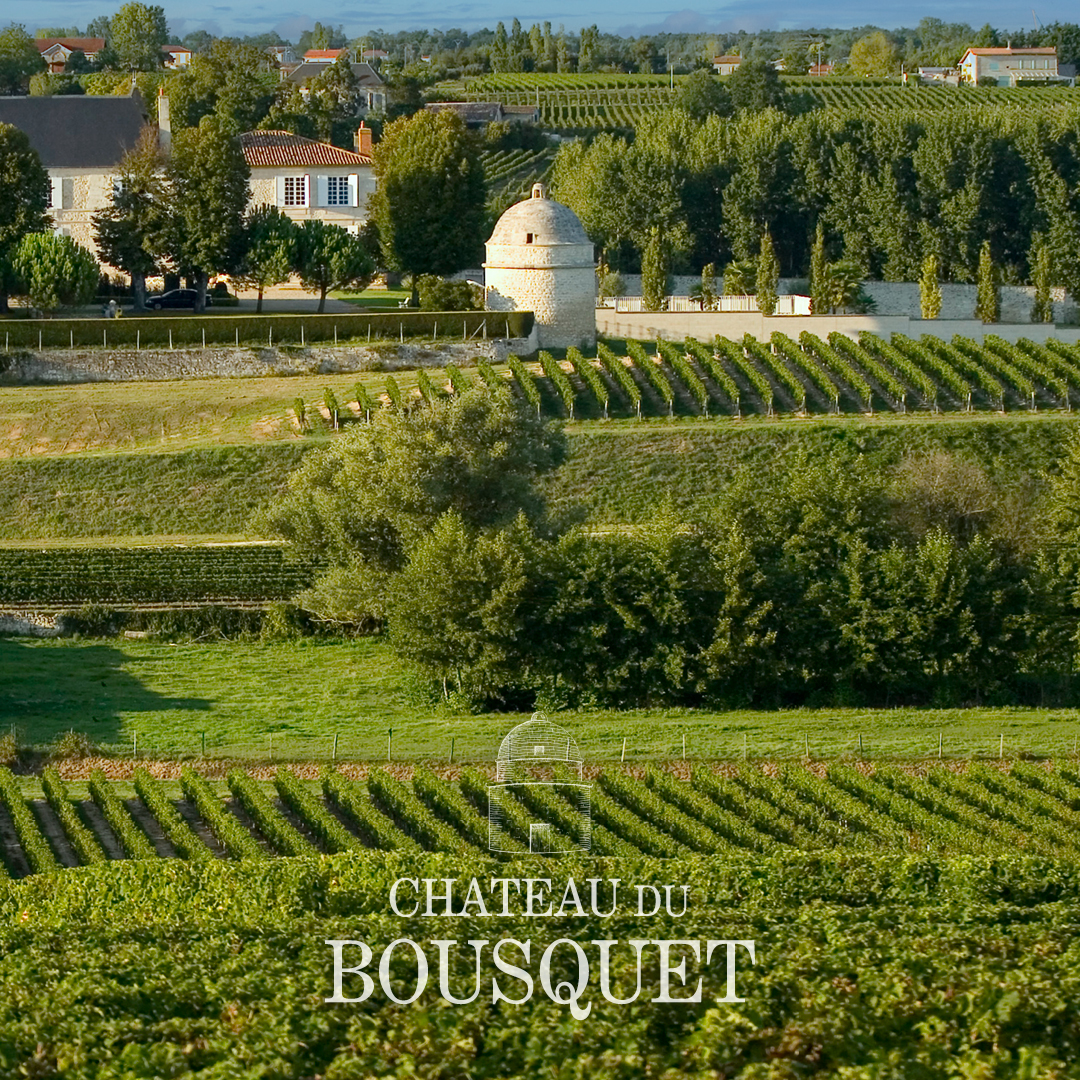 chateau du bousquet logo batisse chateau du bousquet logo batisse