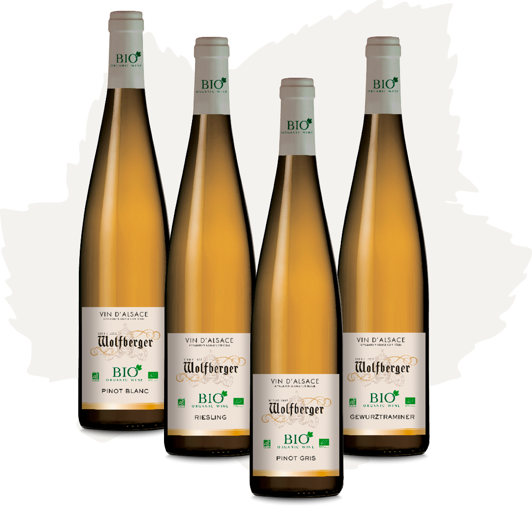 wolfberger bio x wolfberger bio x